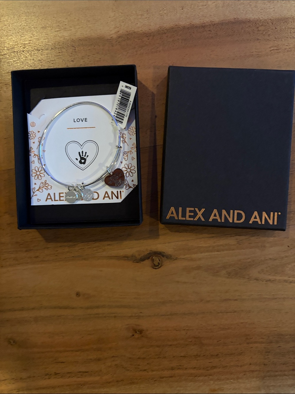 Alex and Ani | Silver Tone Love Charm Bangle with Heart Charm